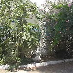 Parian Blu *