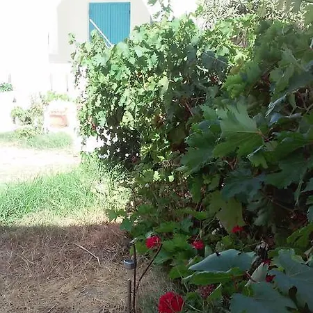 Parian Blu Logaras