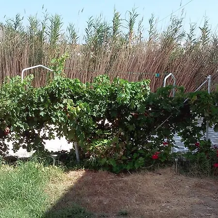 Studios Parian Blu Logaras