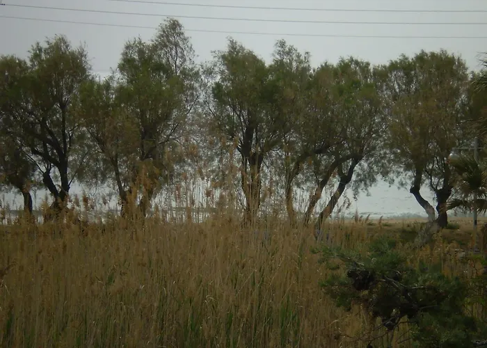 Lägenhet Parian Blu Logaras