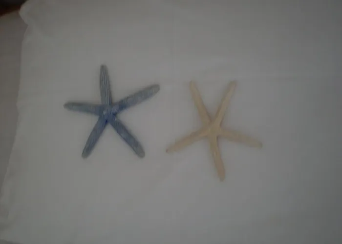 Lägenhet Parian Blu Logaras